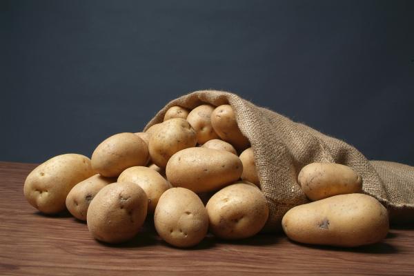 La patata di San Lorenzo Nuovo e dell'alto viterbese